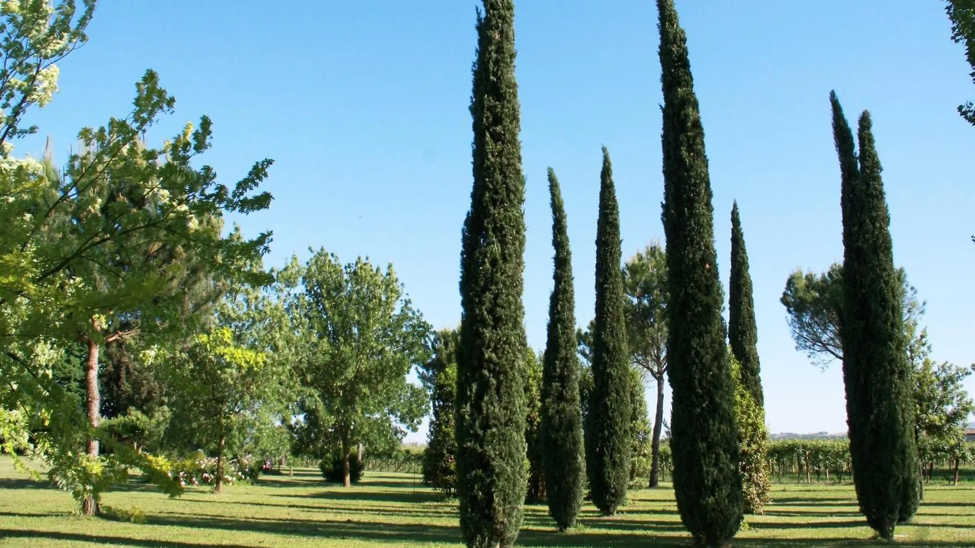 Elegant Holiday Home In Faenza With Garden And Pool Italië