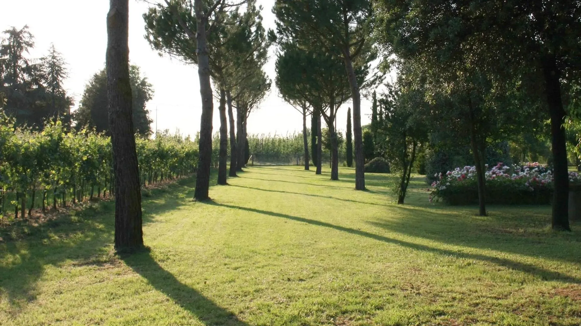 Elegant Holiday Home In Faenza With Garden And Pool Italië